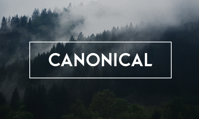 Link kanoniczny – jak go stosować?