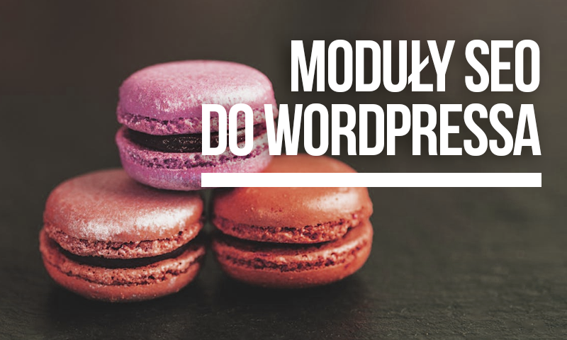 SEO WordPress, czyli słów kilka o możliwościach i wtyczkach SEO na WP
