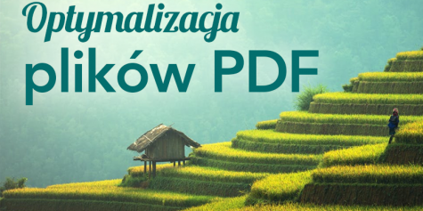 optymalizacja plików pdf pod seo