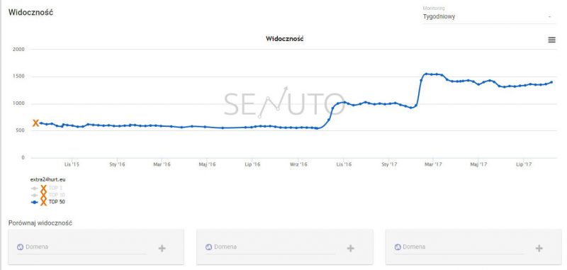 efekty audytu seo