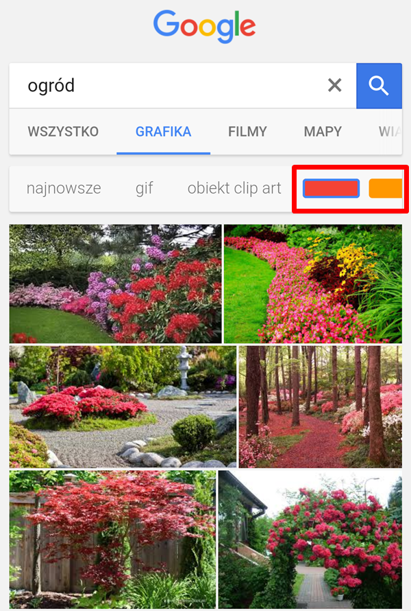 filtry w wyszukiwarce grafiki