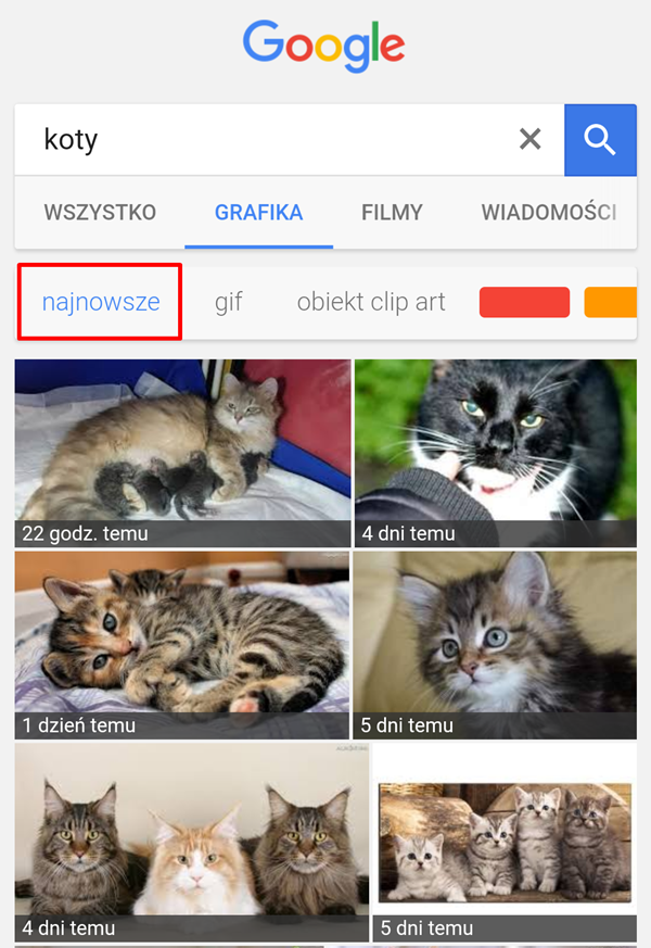 Wyszukiwarka Grafiki