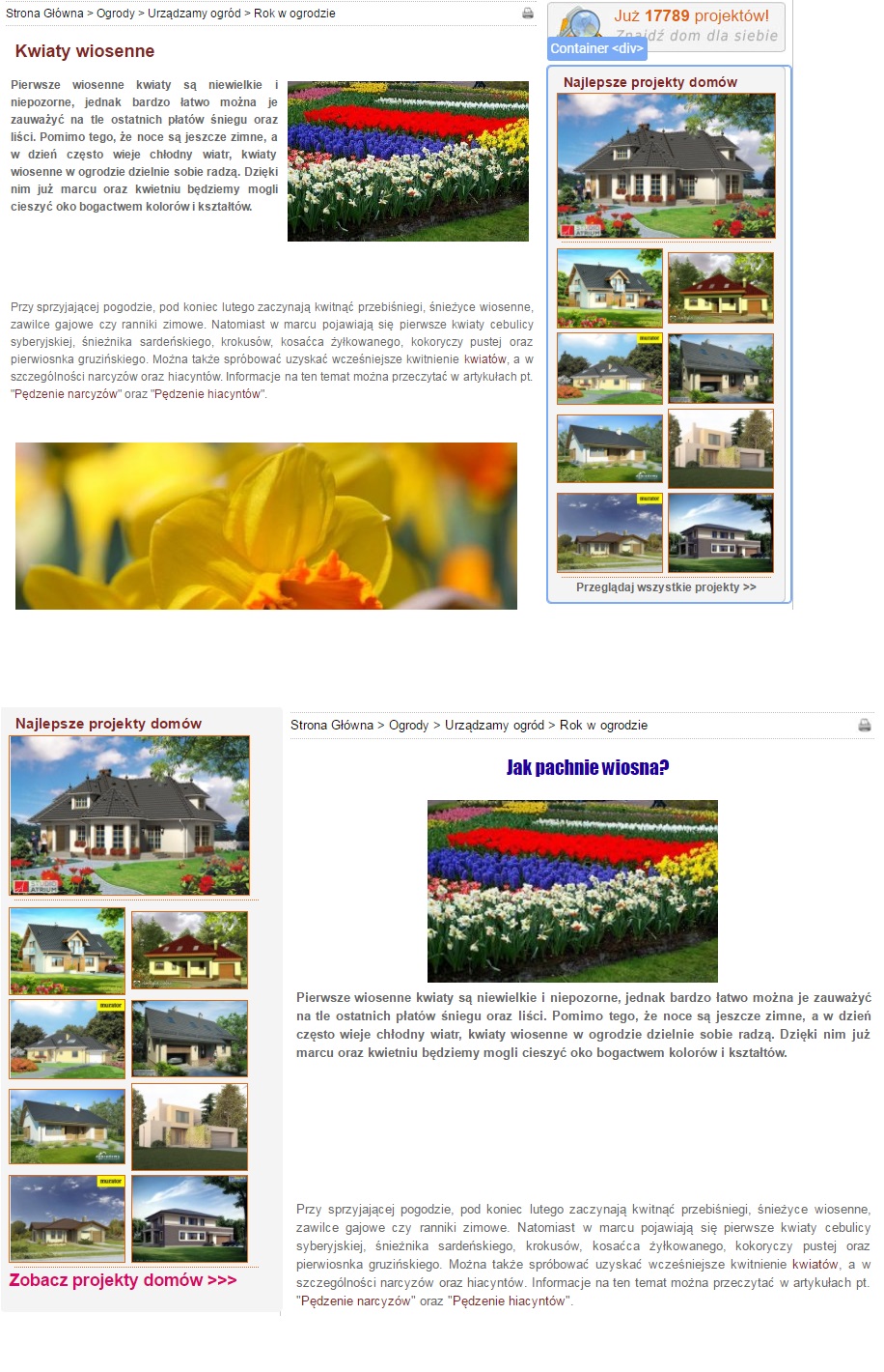 Google Optimize zmiany na stronie
