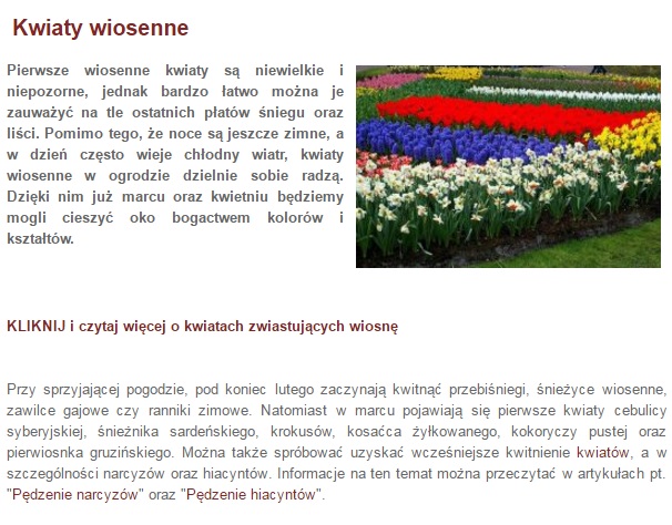 Google Optimize