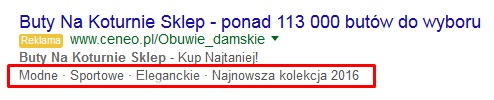 Reklama Google AdWords Rozszerzenia Objaśnień