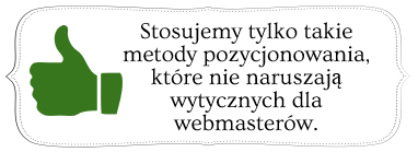 Wytyczne dla webmasterów