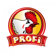 Rekomendacje: logo Profi