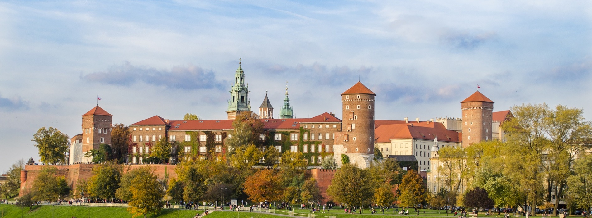 szkolenia seo kraków