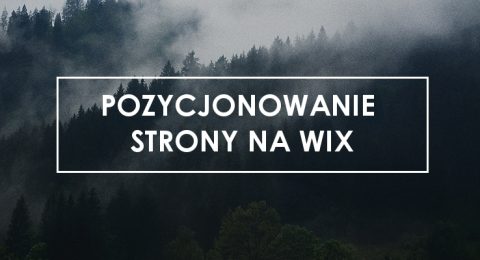 Optymalizacja i pozycjonowanie stron Wix – jakie są możliwości tego systemu CMS?