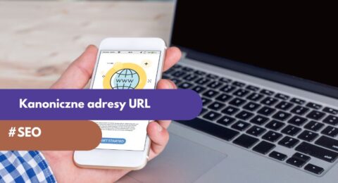 kanoniczne adresy url